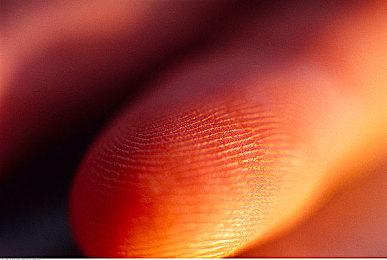 《博德之门3》Xbox版发售区间确定：9月至11月